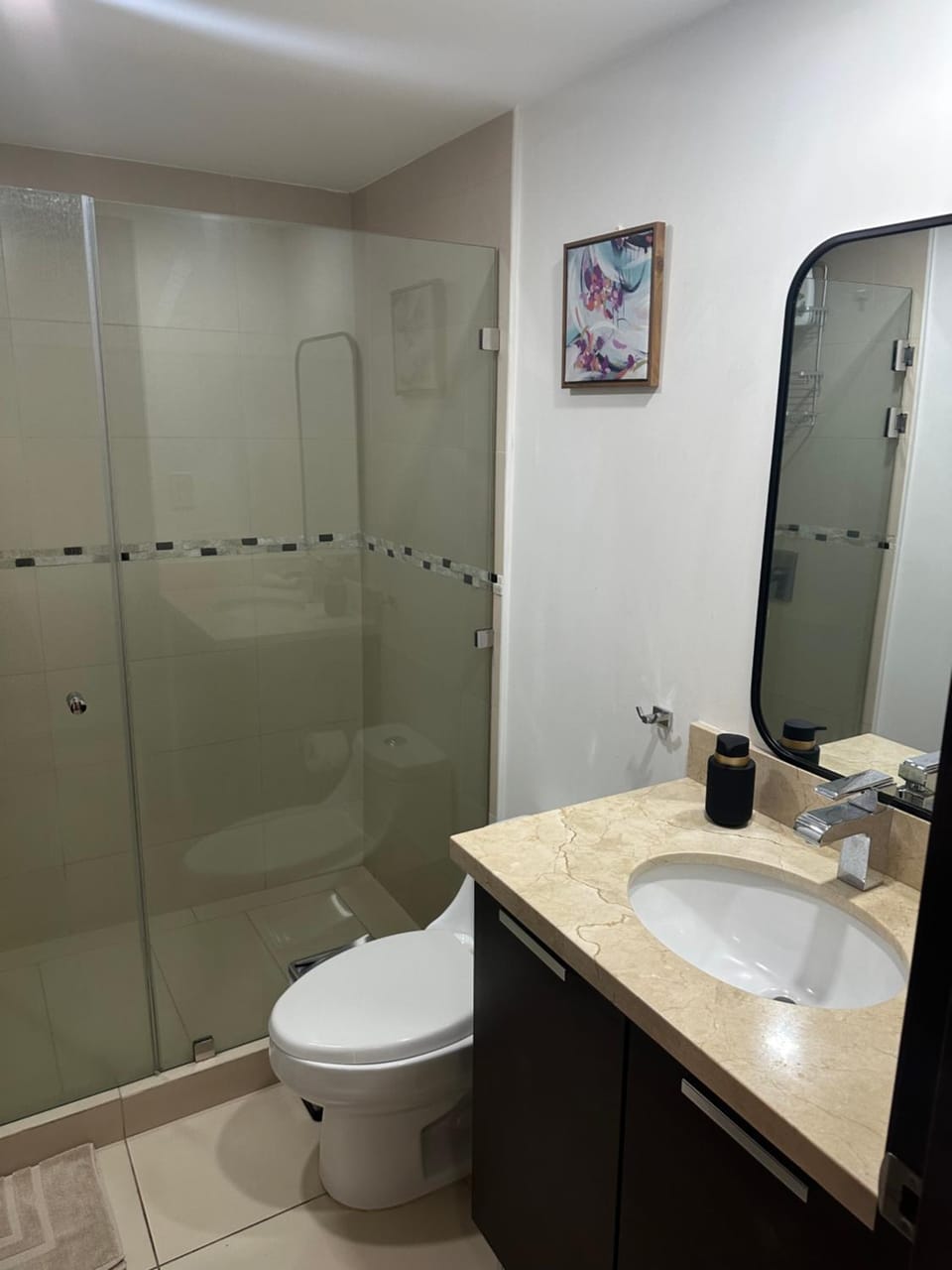 Charming Two Bedroom with balcony Apartment in San Jose