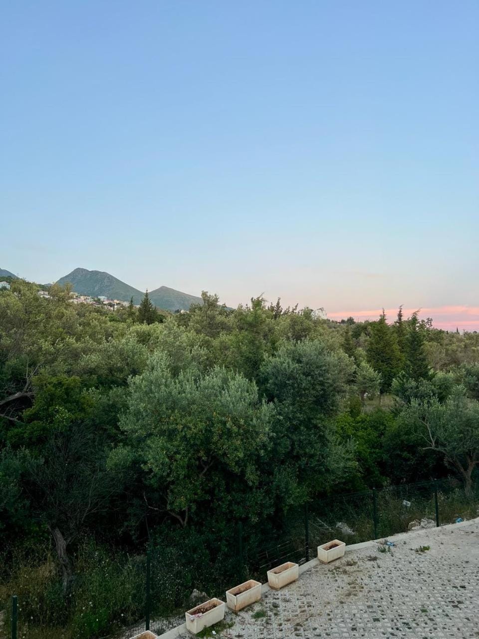 Mountain view