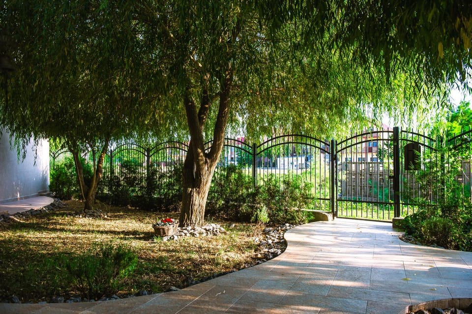 Day, Garden, Garden view