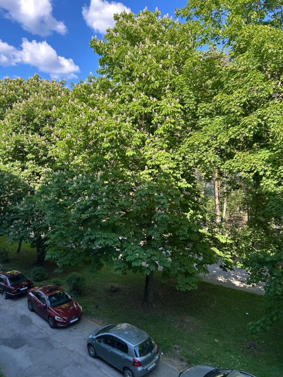 Quiet street view