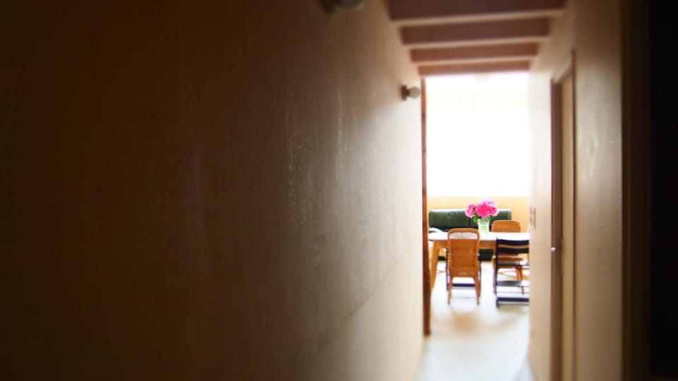 Living room, kitchen