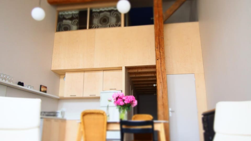 Living room, kitchen