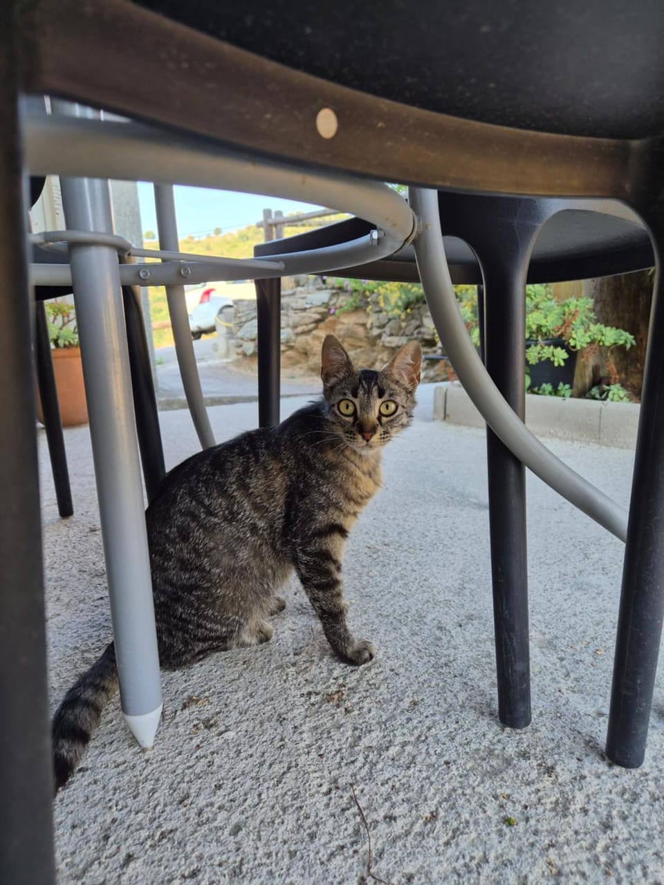 a casuccia House in Corsica