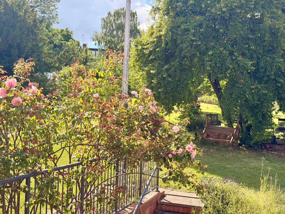 Living light Bed and Breakfast in Northampton