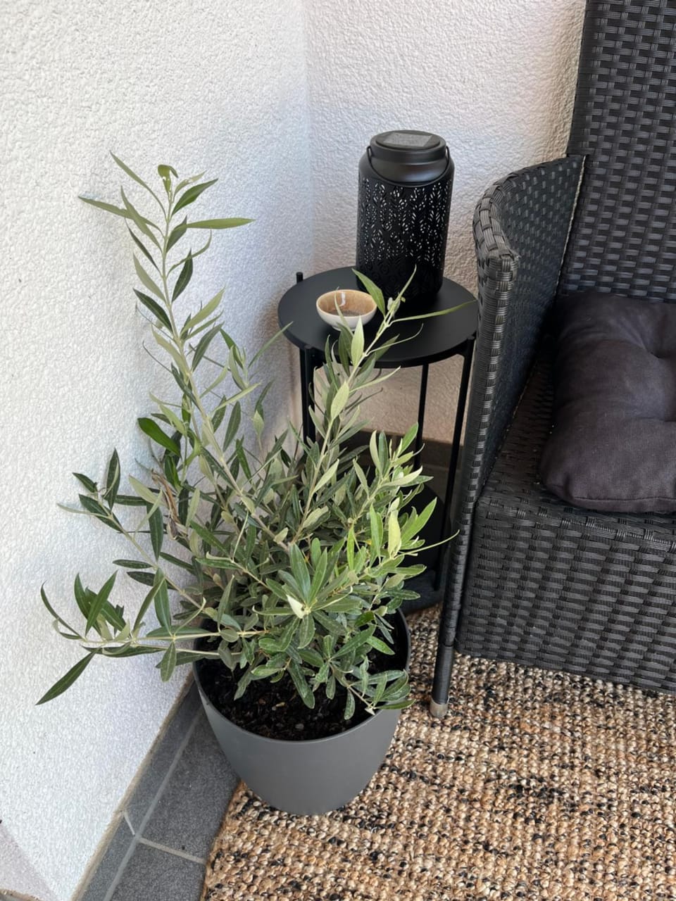 Balcony/Terrace, Seating area