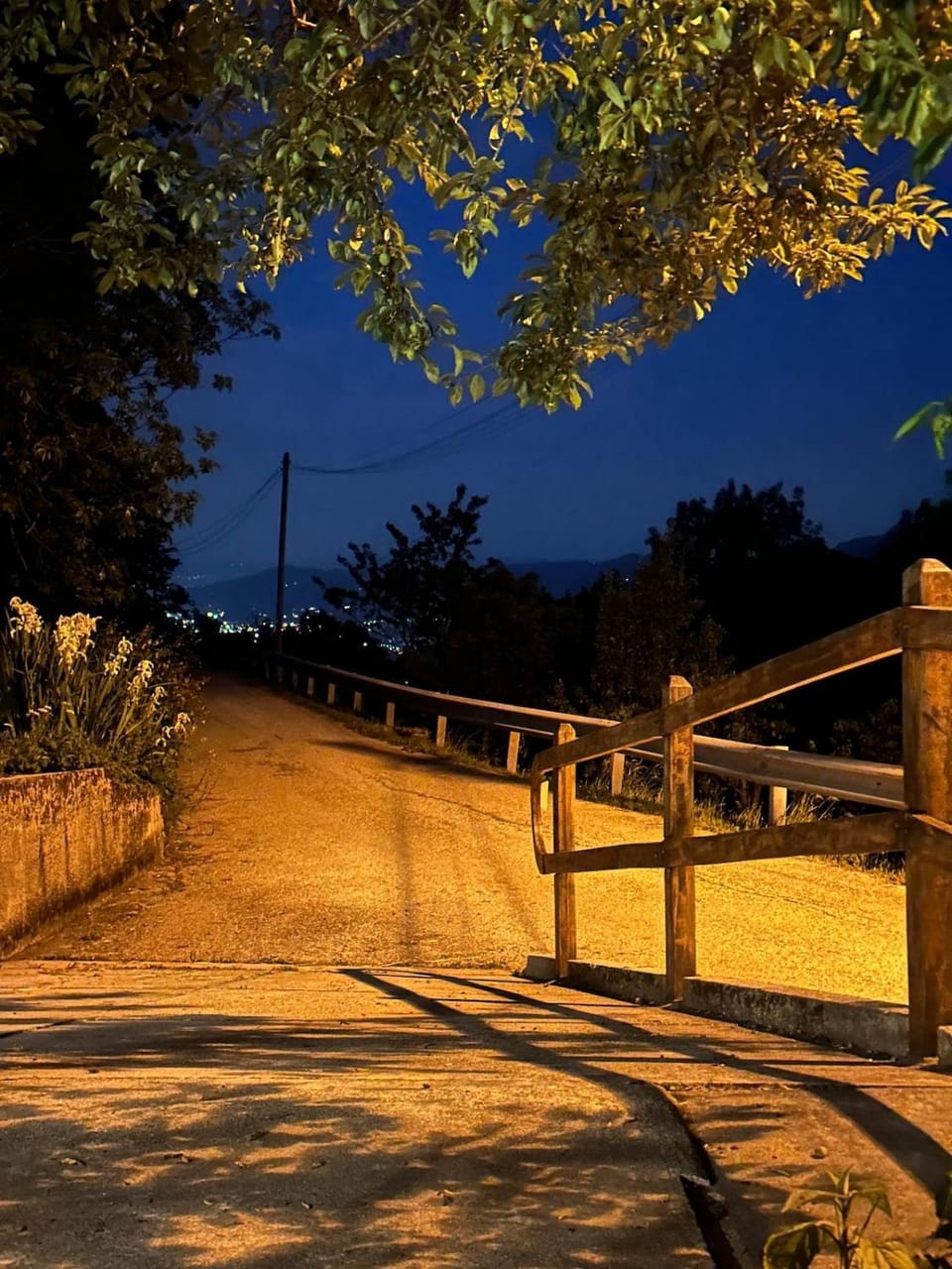 Night