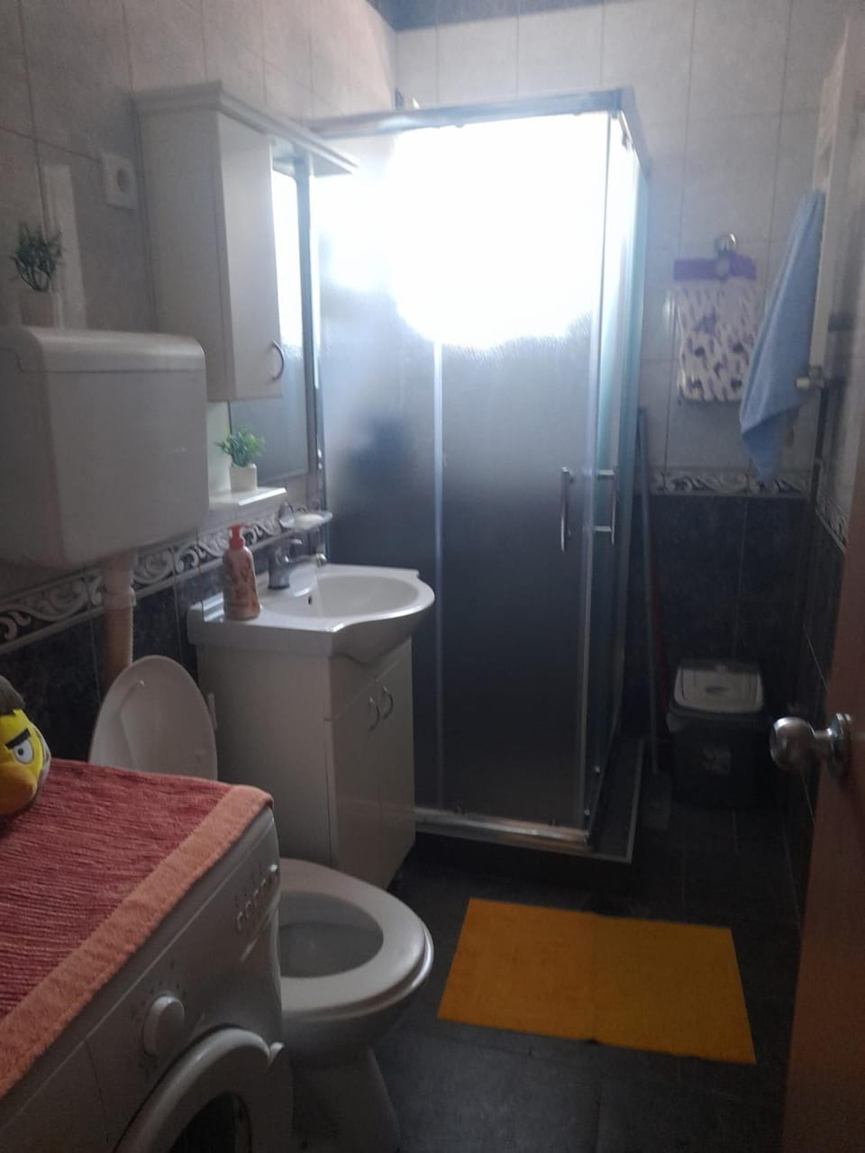 Apartman Mili-Roda Apartment in Serbia
