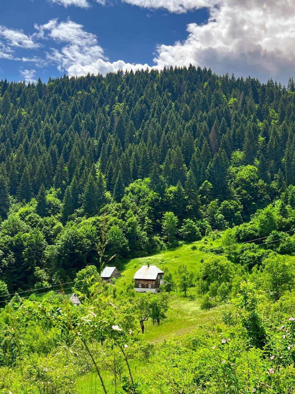Djedova Zemljana kuca Campground/ 
RV Resort in Zlatibor District, Serbia