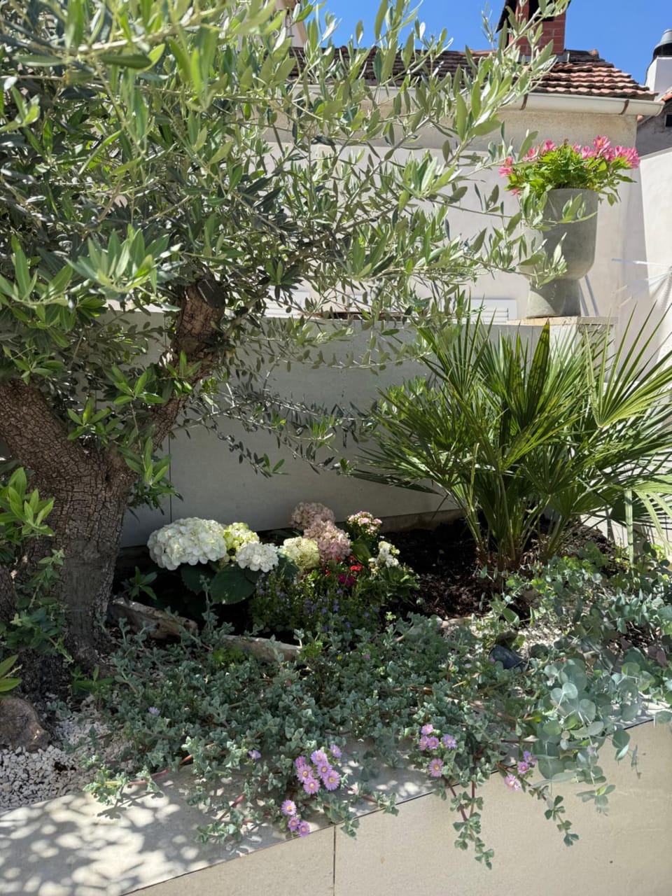 T-One Luxury Pool House Apartment in Split