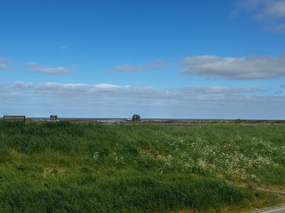 Natural landscape