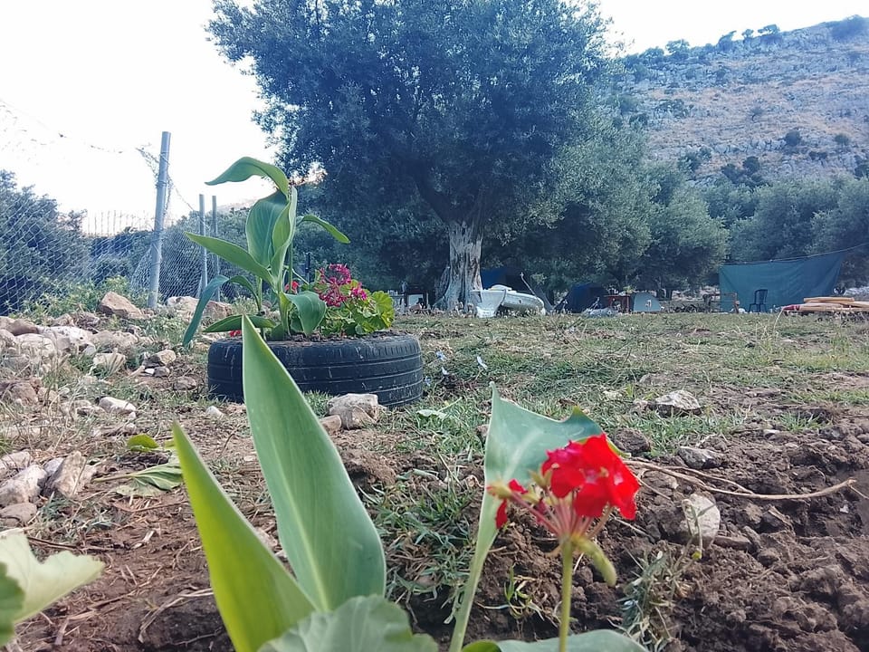 Camping Shpella e Pirateve Campground/ 
RV Resort in Vlorë County, Albania