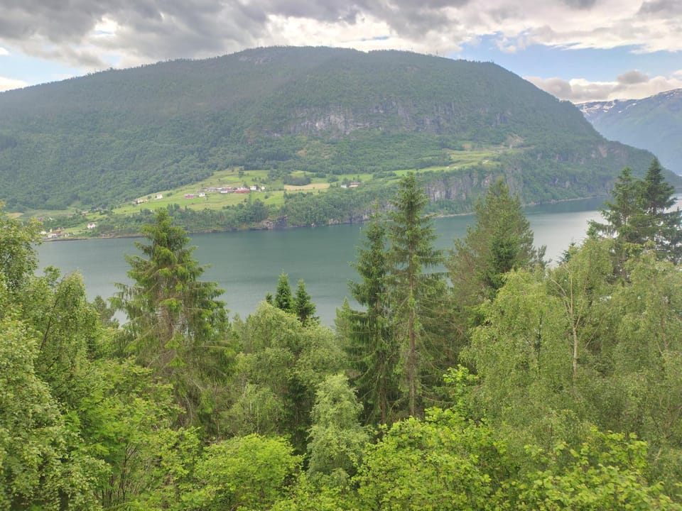 U Maxa , całe mieszkanie na wyłączność Bed and Breakfast in Vestland