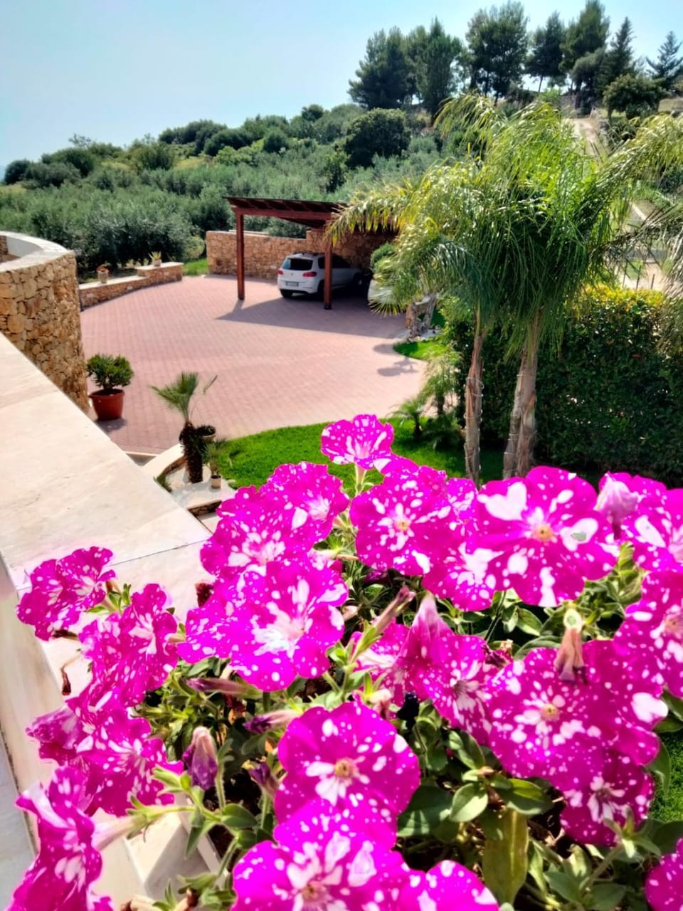 Garden, Hot Tub, View (from property/room), Garden view, Open Air Bath, Inner courtyard view