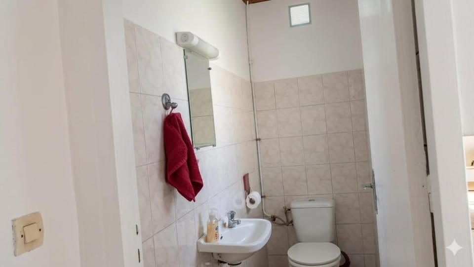 Shower, Toilet, Bathroom, bidet