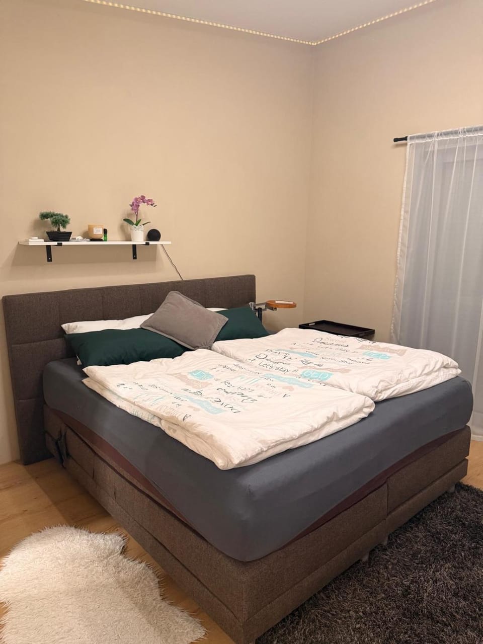 Bed, Photo of the whole room, Bedroom