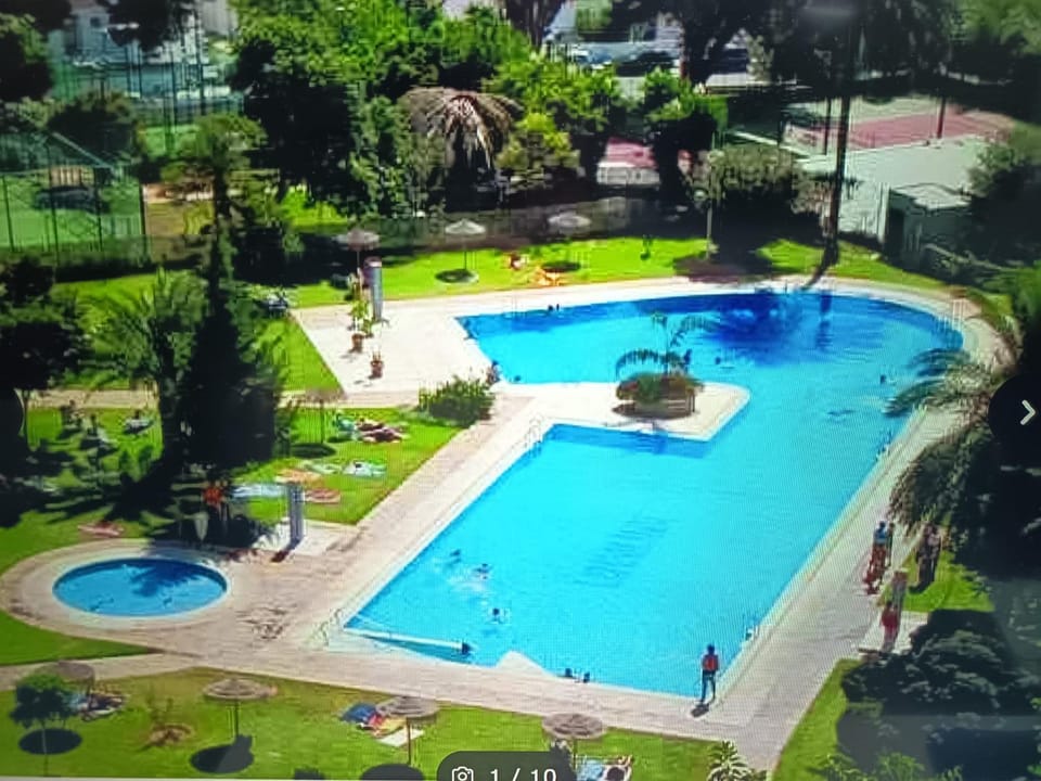 Garden, Swimming pool