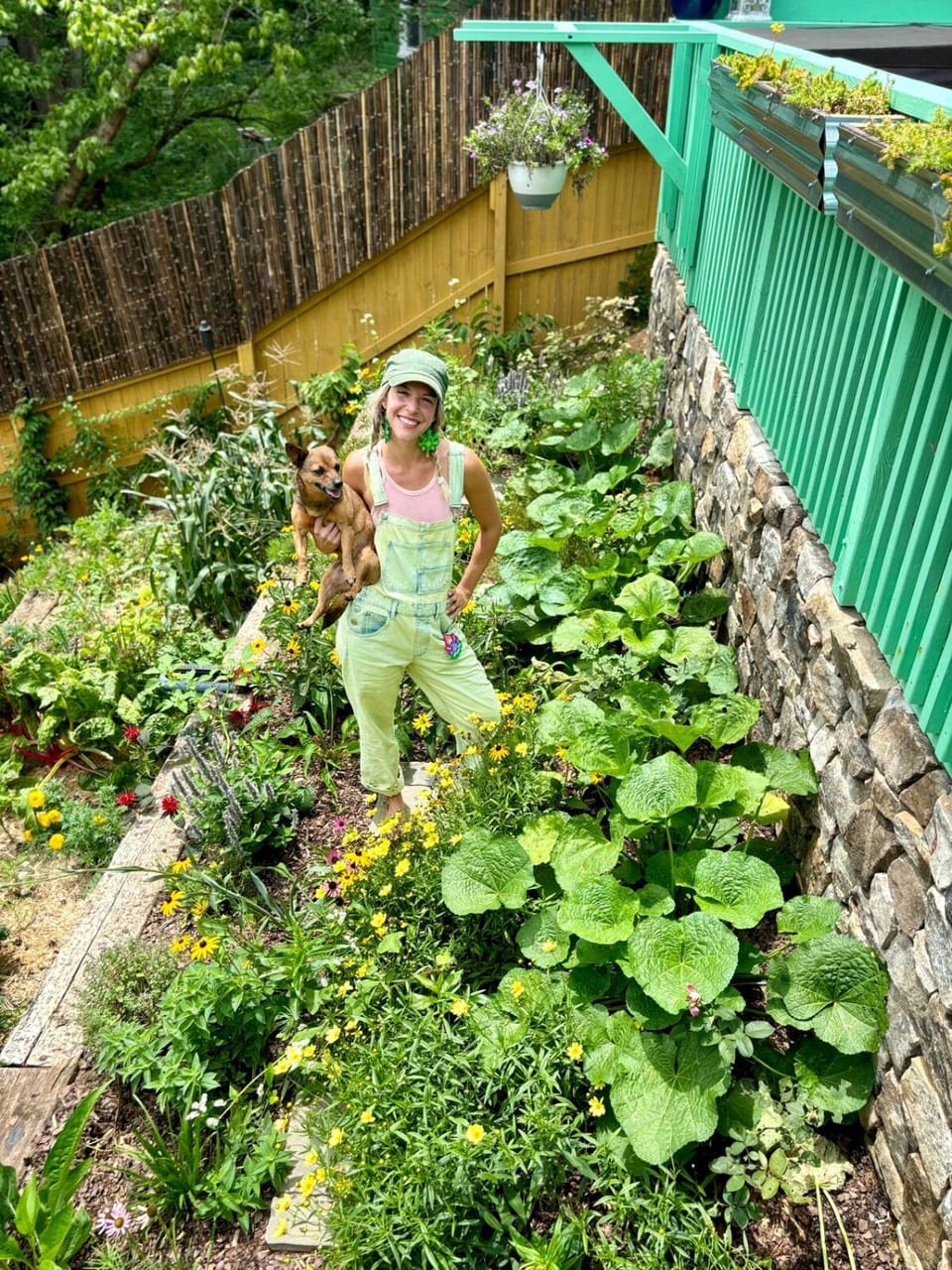 Garden, Garden view