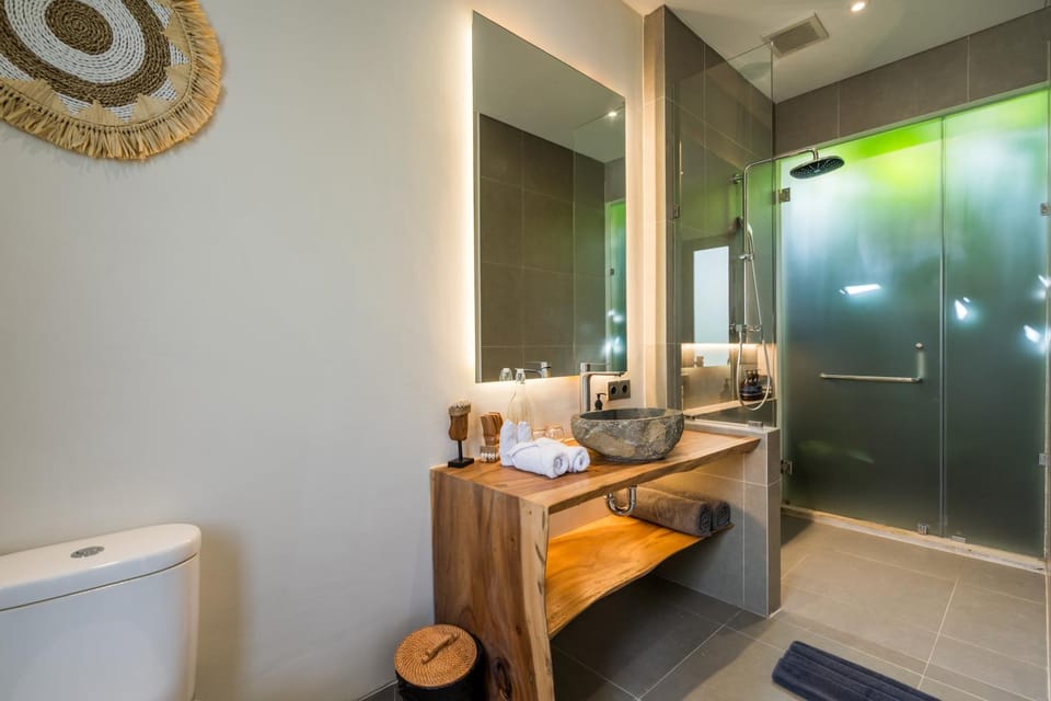 Shower, Toilet, Bathroom, towels