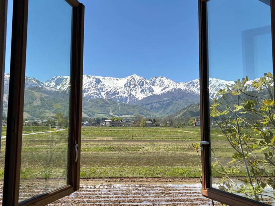 View (from property/room), View (from property/room)
