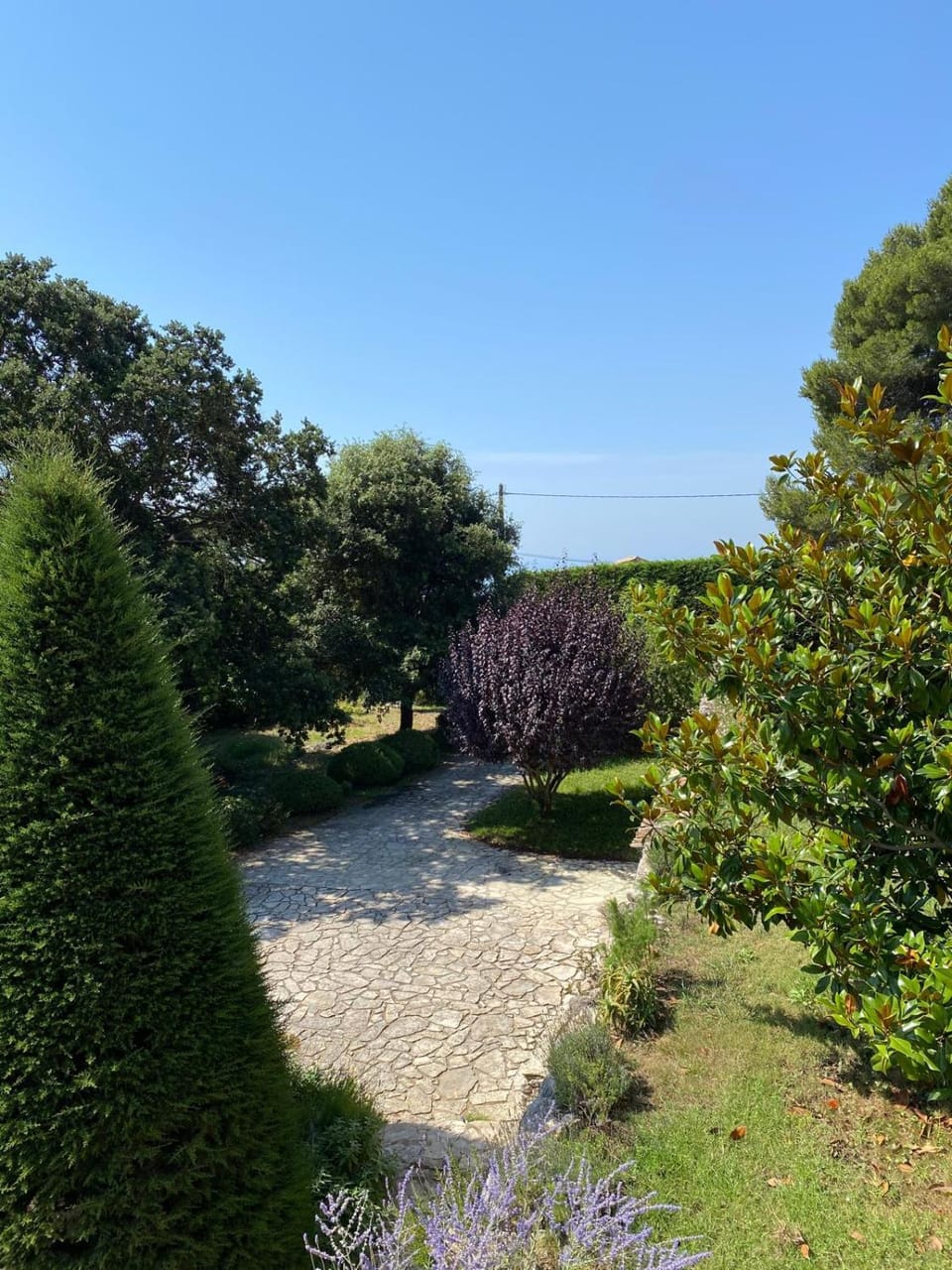 Magnifique Villa Nice - Villefranche Villa in Villefranche-sur-Mer