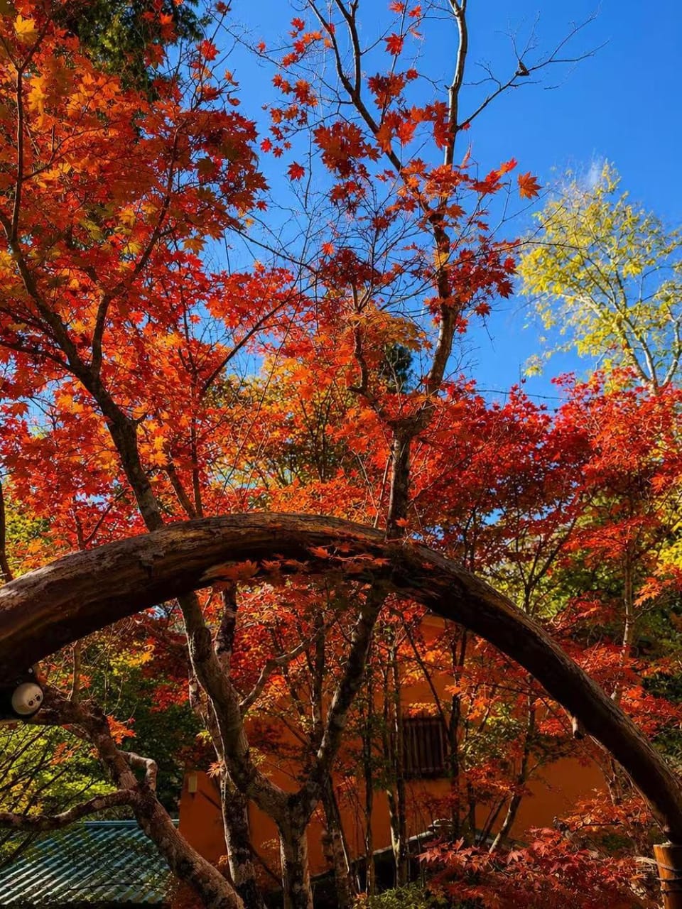 COLOR INN 瑠璃渓c House in Kyoto Prefecture