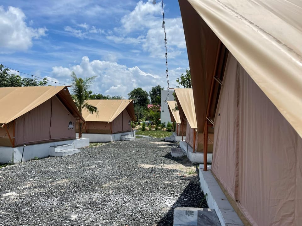 Property building, Day