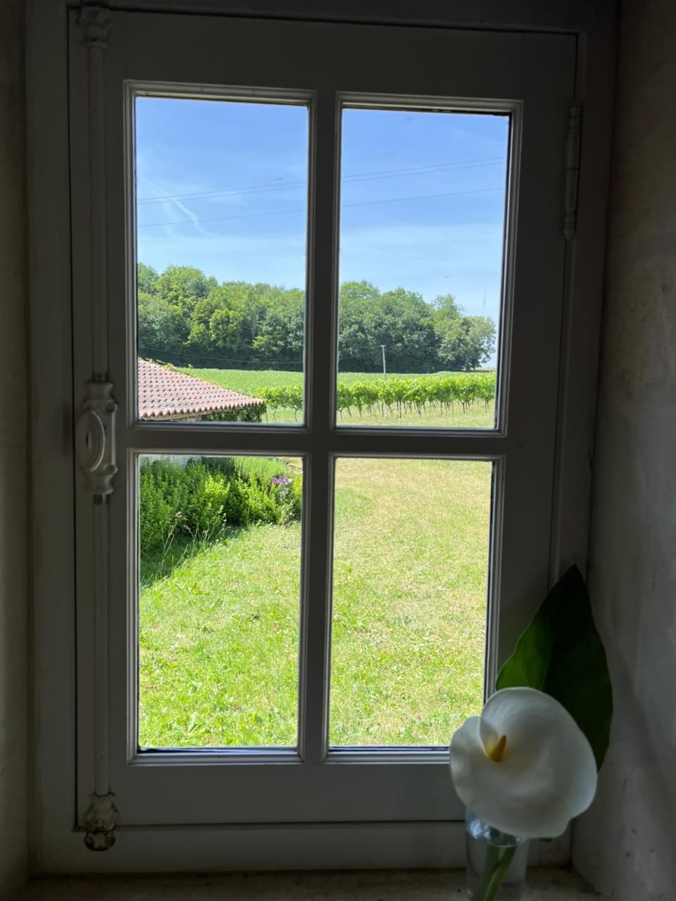 Garden, View (from property/room)