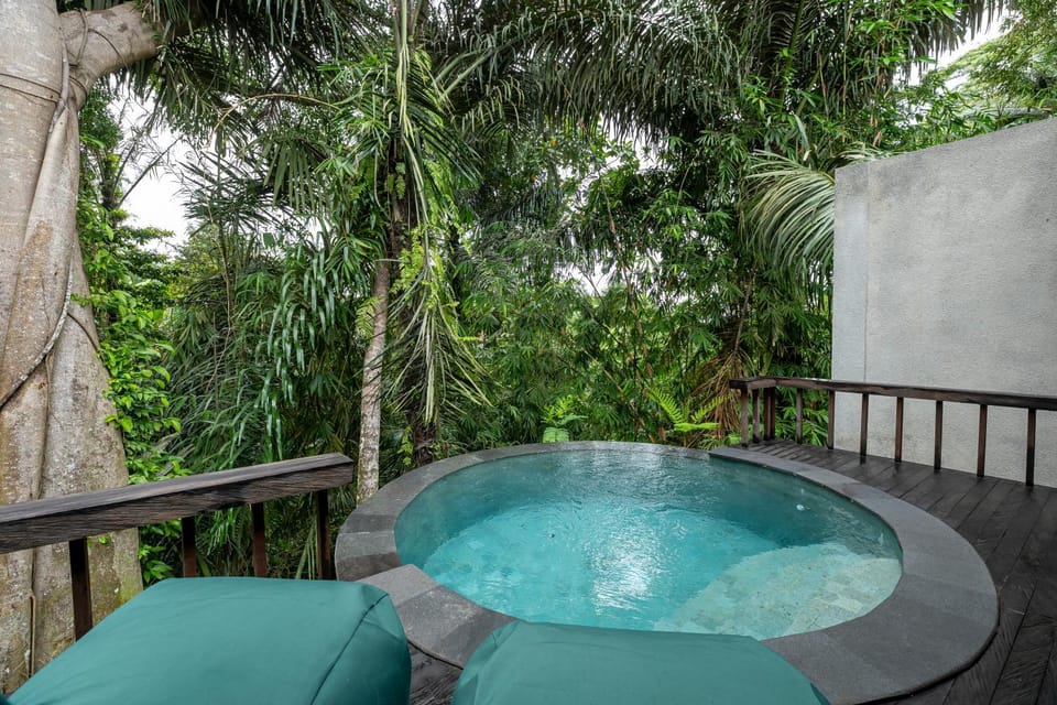 Natural landscape, Garden, Garden view, Pool view, Swimming pool