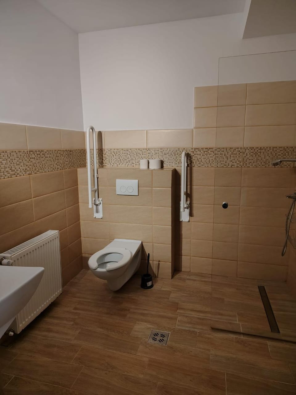 Toilet, Facility for disabled guests