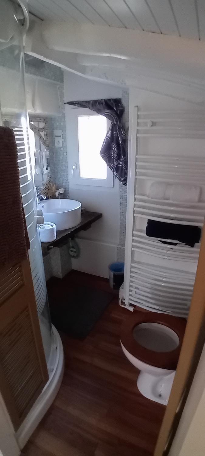 Toilet, Bathroom