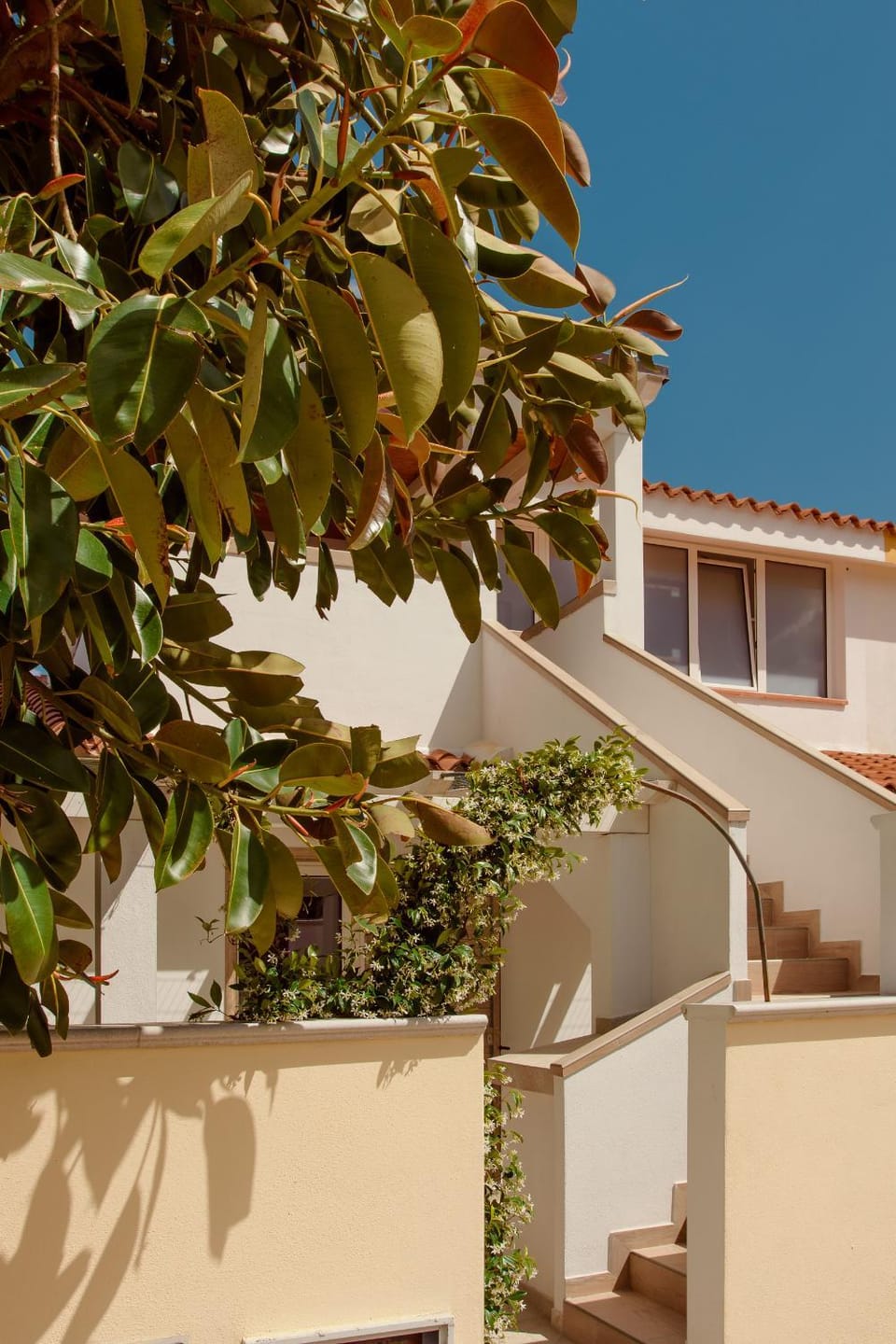 Property building, Day