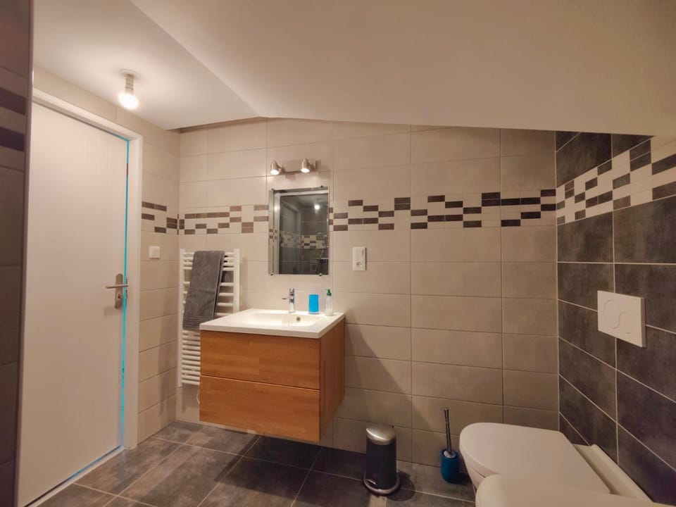Shower, Toilet, Bathroom, towels