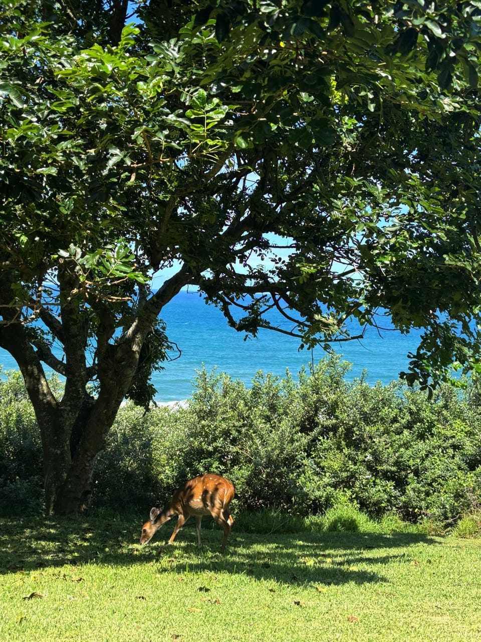 Natural landscape