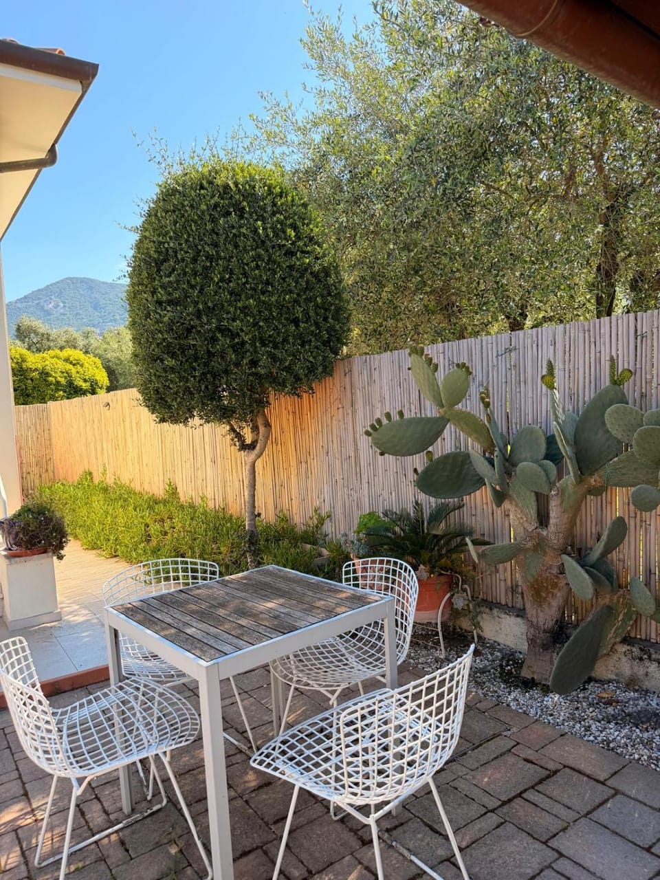 Corner Paradise House in Pietrasanta