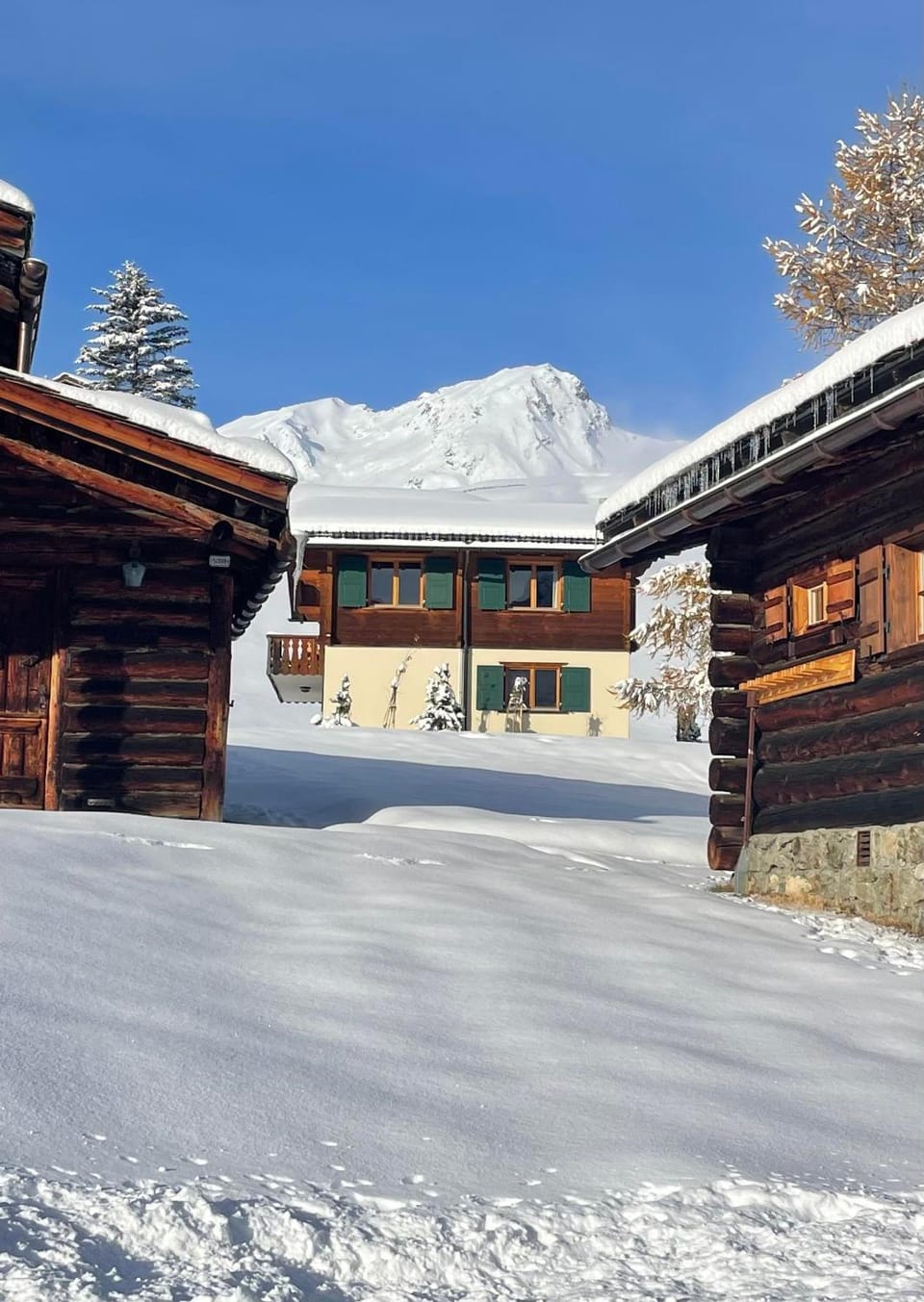 Chalet Söni Apartment in Arosa