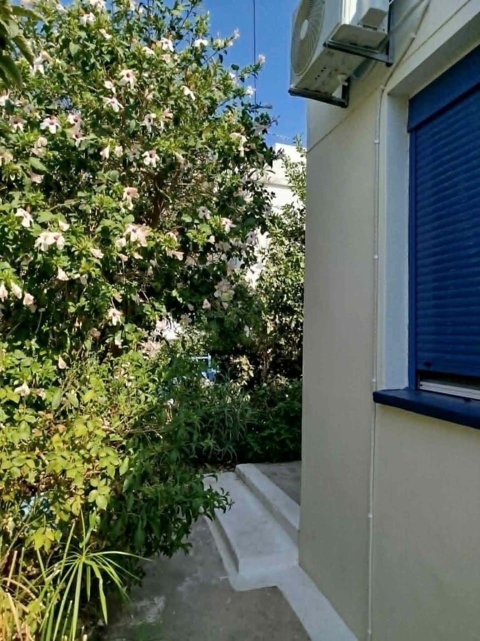 Δωμάτια Σοφία Bed and Breakfast in Icaria