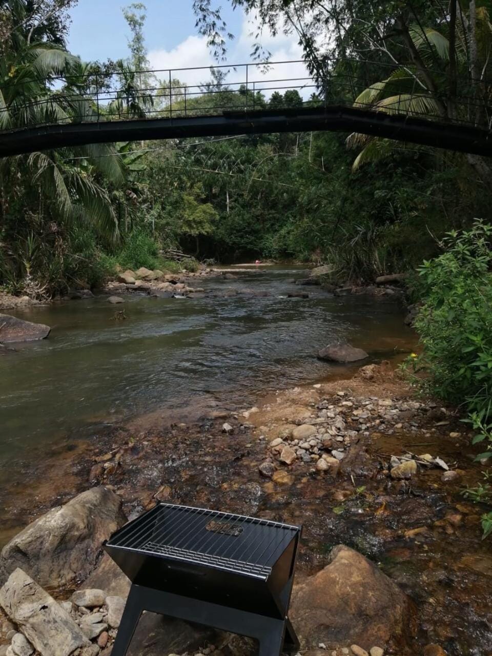 Natural landscape, River view