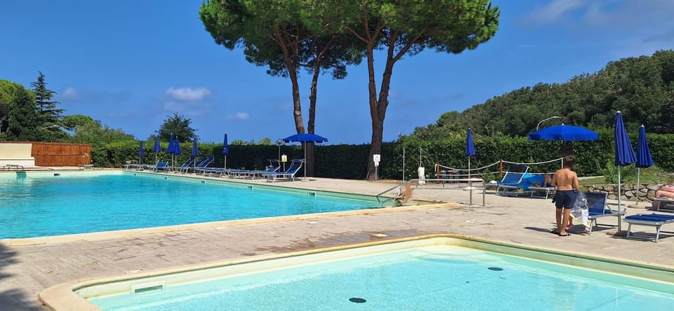 Day, Natural landscape, Pool view, Swimming pool, Swimming pool, sunbed