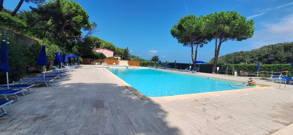 Day, Natural landscape, Pool view, Swimming pool, Swimming pool, sunbed