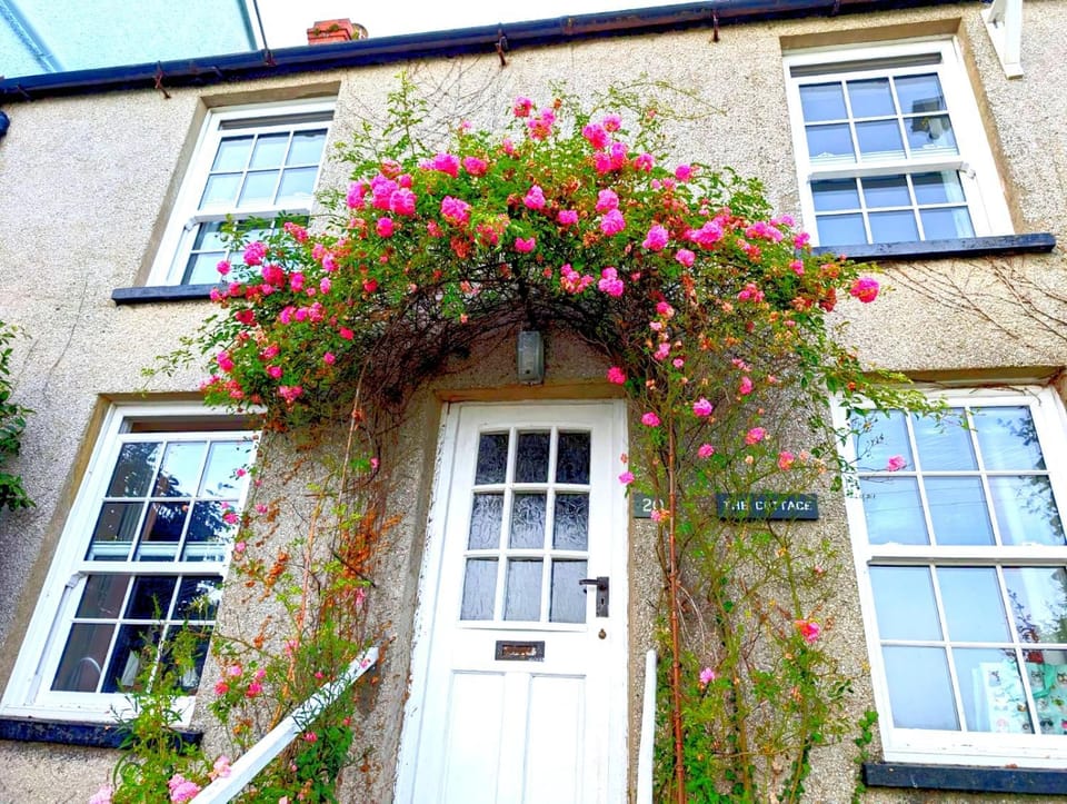 Property building, Spring, Day, Garden