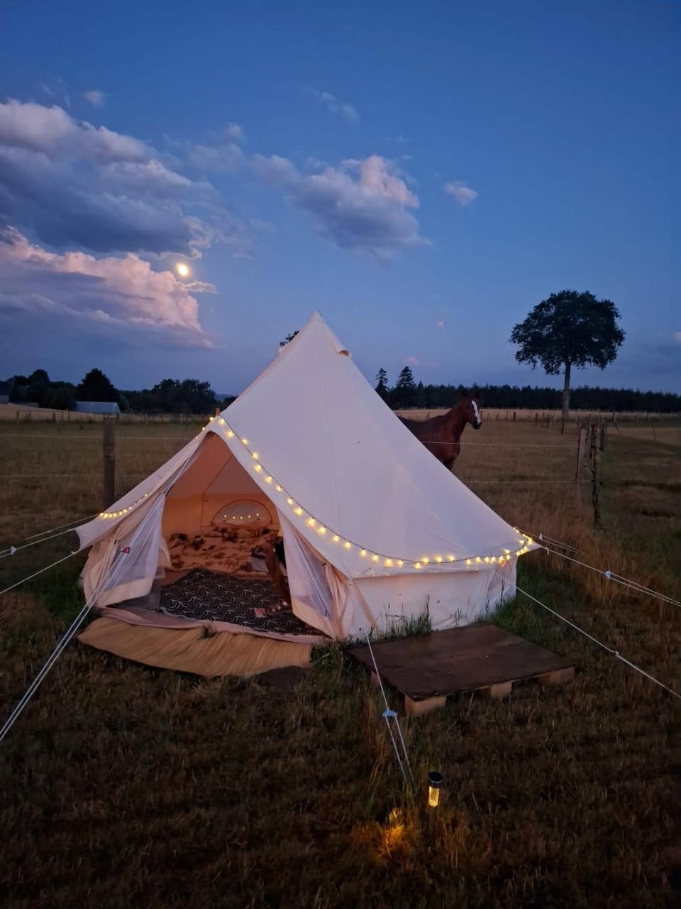 Le Nid des Prairies Luxury tent in Normandy