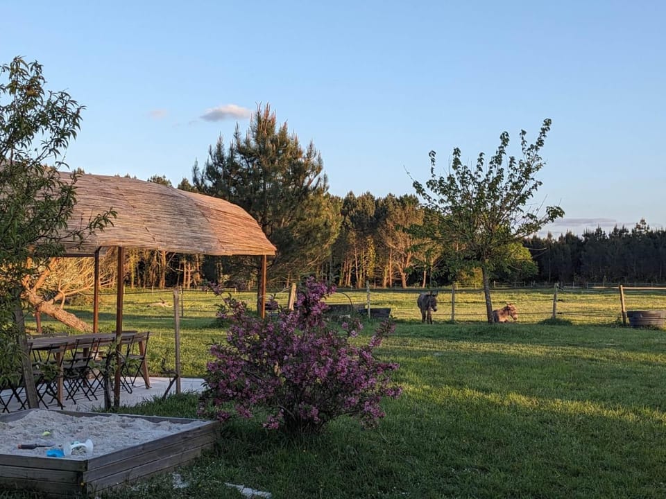 Lucatum – Domaine d'exception avec piscine House in Vendays-Montalivet