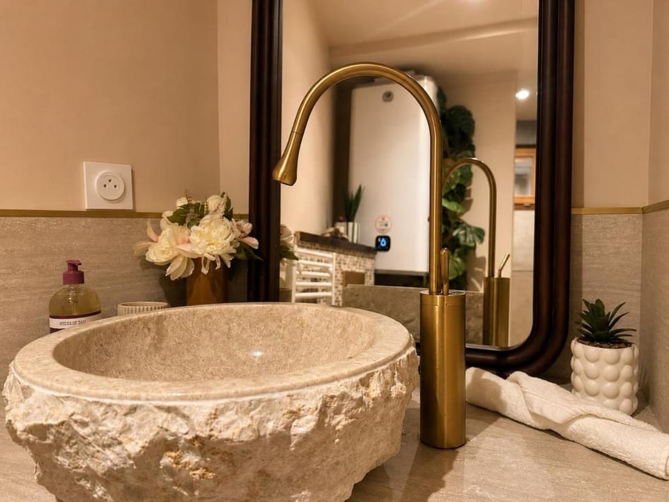 LE HAWAII, city center, air conditioning Apartment in Bourgogne-Franche-Comté