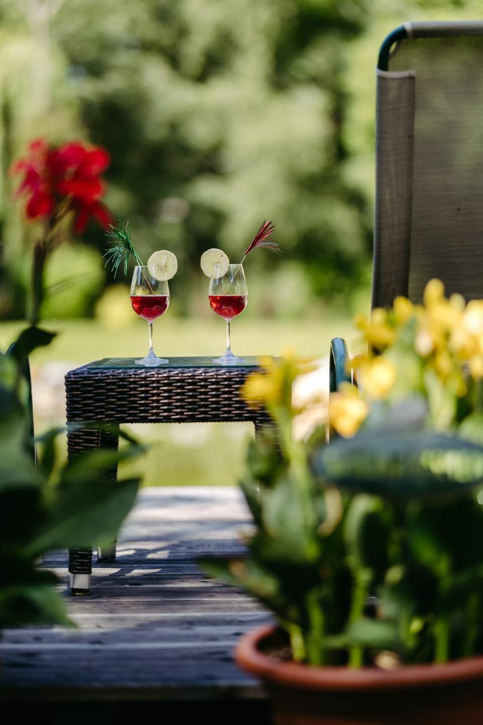 Garden view, Drinks, Alcoholic drinks