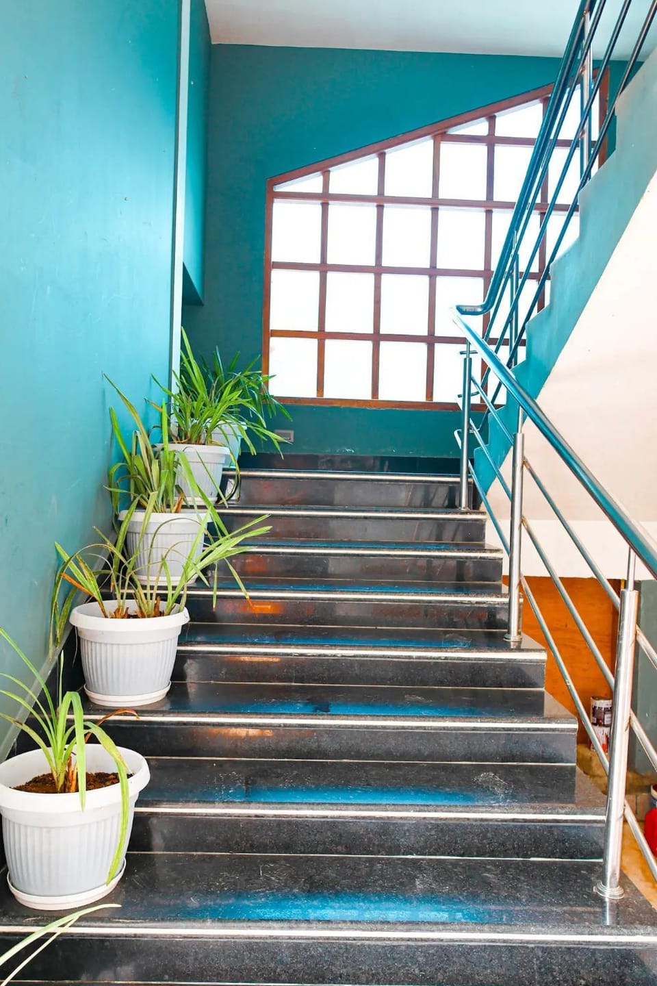 Daisy Homestay Dirang Vacation rental in India