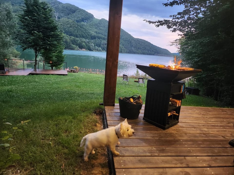 Natural landscape, BBQ facilities, Garden view, Lake view, fireplace