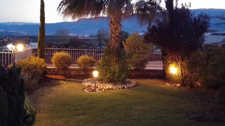 Night, Garden