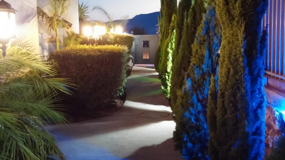 Night, Decorative detail