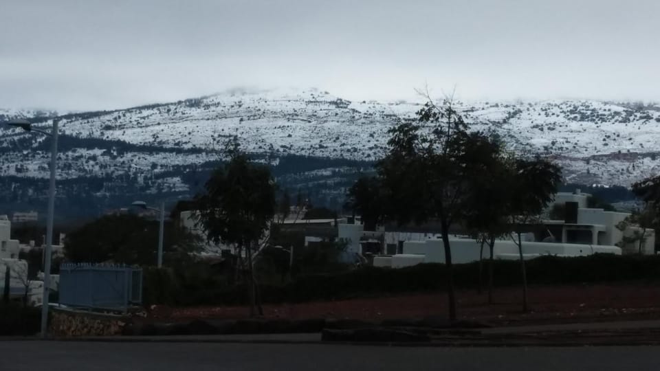 Neighbourhood, Winter