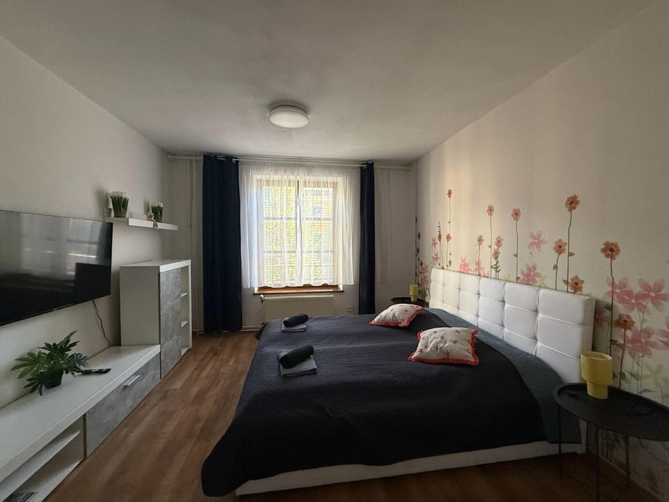 Izby SMART - zdieľaná kuchyňa, kúpelňa a wc s druhou izbou Apartment in Slovakia